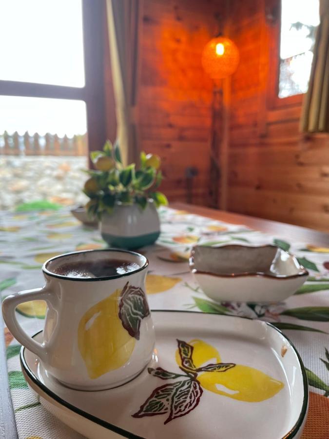 Andizalti Doga Evleri Limon Ev Datca别墅 外观 照片